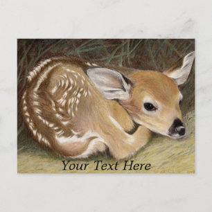 Carte Postale Source