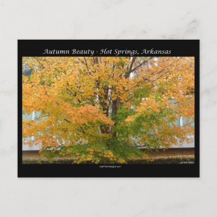Carte Postale Sources chaudes Autumn Beauty, Arkansas Vêtements 