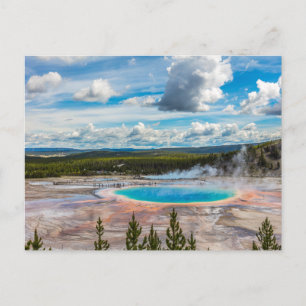 Carte Postale Sources chaudes du Parc national de Yellowstone