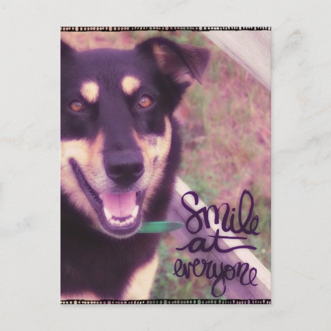 Carte Postale Souriez à tout le monde chien (Devant)