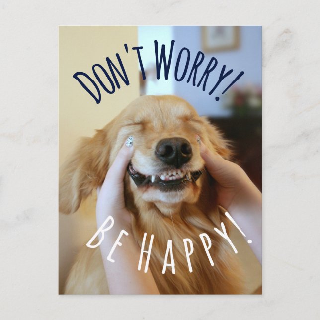 Carte Postale Sourire Golden Retriever Chien Ne vous inquiétez p (Devant)
