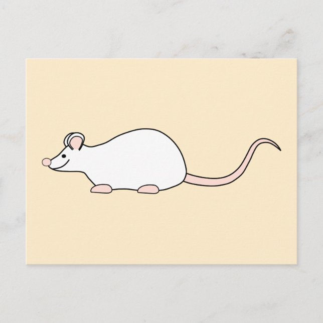 Carte Postale Souris blanche pour animaux domestiques. (Devant)