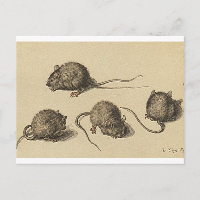 Carte Postale souris-clipart-2 (Devant)