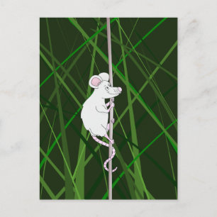 Carte Postale Souris gris dans l'herbe haute