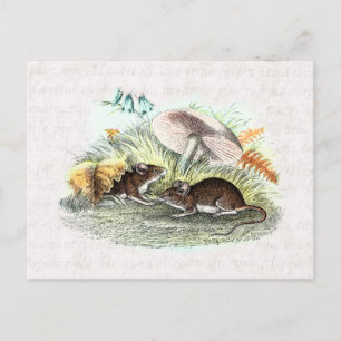 Carte Postale Souris vintage avec champignons Vieux souris rétro