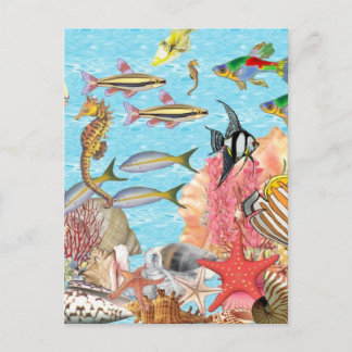Carte Postale Sous la mer