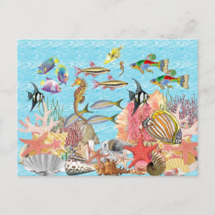 Carte Postale Sous la mer