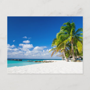 Carte postale - Sous le soleil des tropiques Postcard