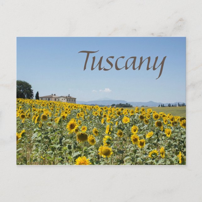Carte Postale Sous le soleil toscan (Devant)