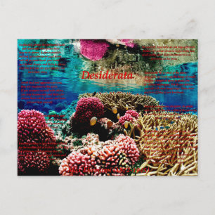 Carte Postale Sous l'eau