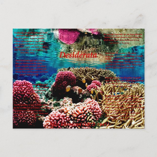 Carte Postale Sous l'eau (Devant)