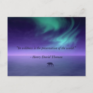 Carte Postale Sous les cieux magiques