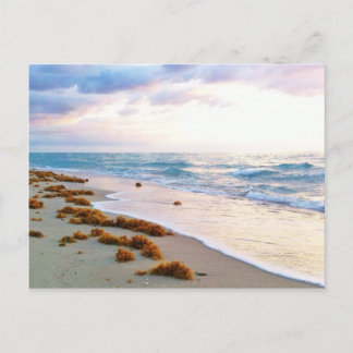 Carte Postale South Beach Miami