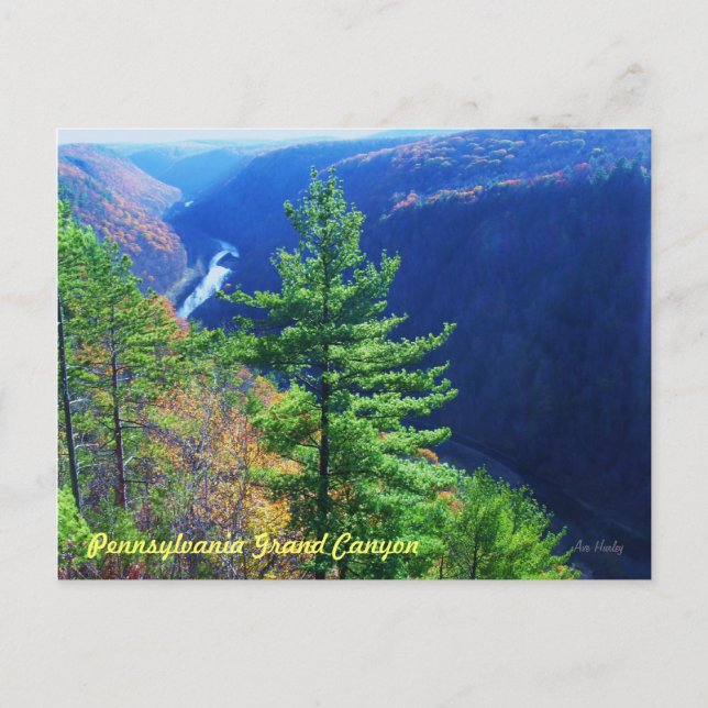 Carte Postale South Overlook, Pennsylvania Grand Canyon (Devant)