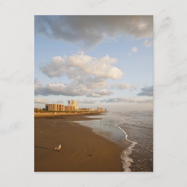 Carte Postale South Padre Island, Texas, États-Unis hôtels de st (Devant)