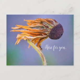 Carte Postale Soutien Sentiment Préoccupation Ici pour Vous