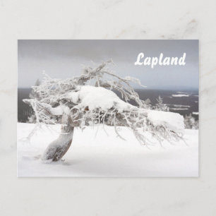 Carte postale souvenir de la Laponie