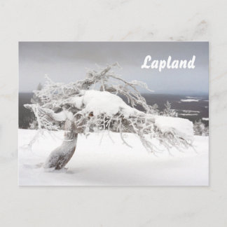 Carte postale souvenir de la Laponie