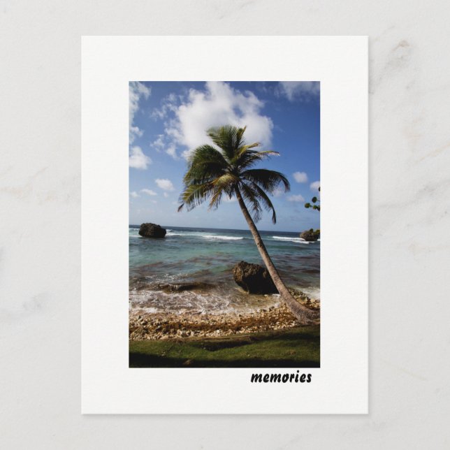 Carte Postale Souvenirs marins de la Barbade Bathsheba (Devant)