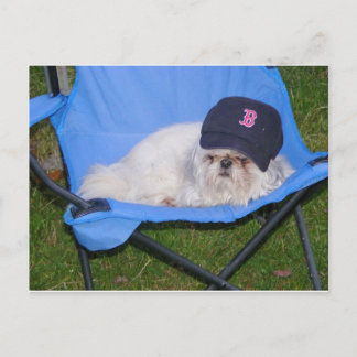 Carte Postale Sox