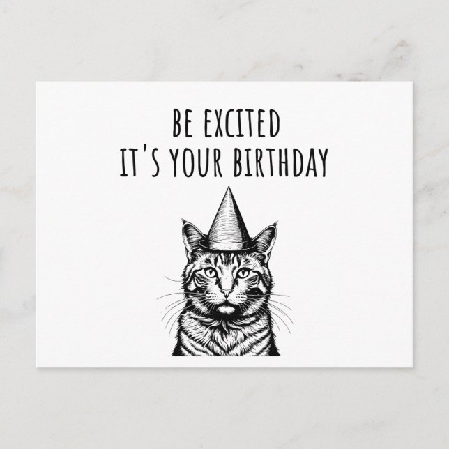 Carte Postale Soyez excité C'est votre chat drôle d'anniversaire (Devant)