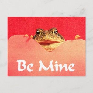 Carte Postale Soyez la grenouille minière photo de près