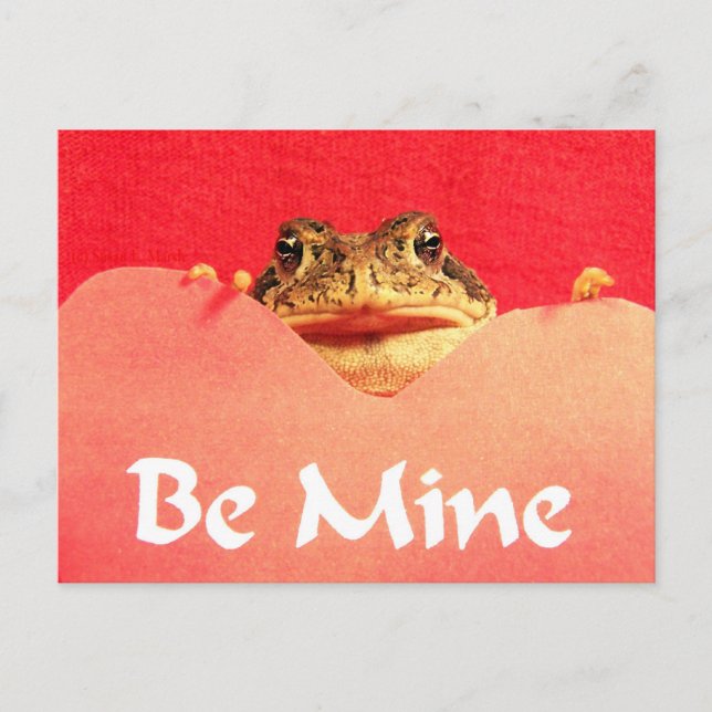 Carte Postale Soyez la grenouille minière photo de près (Devant)