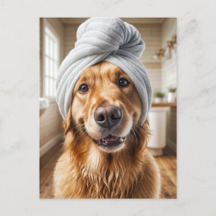 Carte Postale Spa de chien Grooming