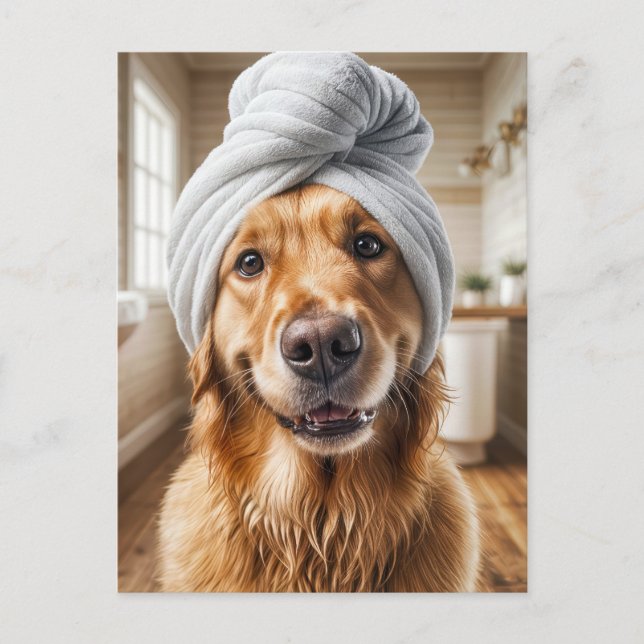 Carte Postale Spa de chien Grooming (Devant)