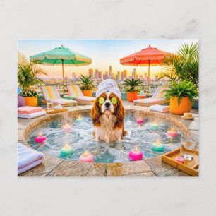 Carte Postale Spaniel dans un bassin de bien-être