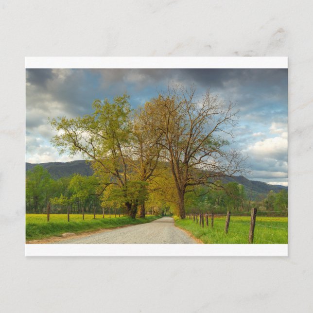 Carte Postale Sparks Lane Cades Cove (Devant)