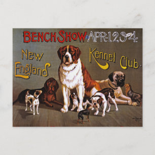 Carte postale : Spectacle de chiens : Salon de ban