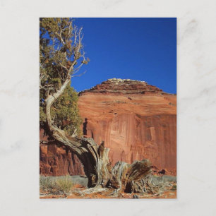 Carte Postale Spehead Mesa À Monument Valley