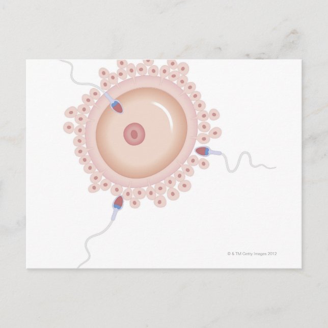 Carte Postale Sperme contenant un gène muté (Devant)