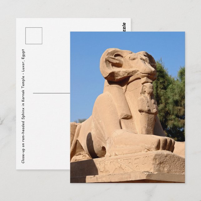 Carte Postale Sphinx à tête de bélier dans le temple de Karnak - (Devant / Derrière)
