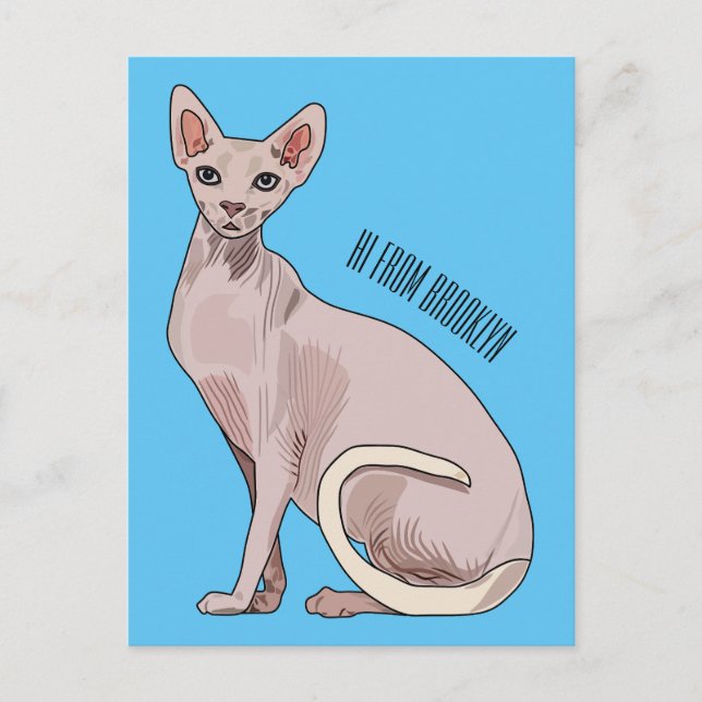 Carte Postale Sphynx cat (Devant)