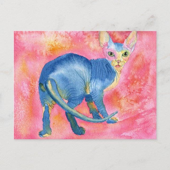 Carte Postale Sphynx Cat 7 (Devant)