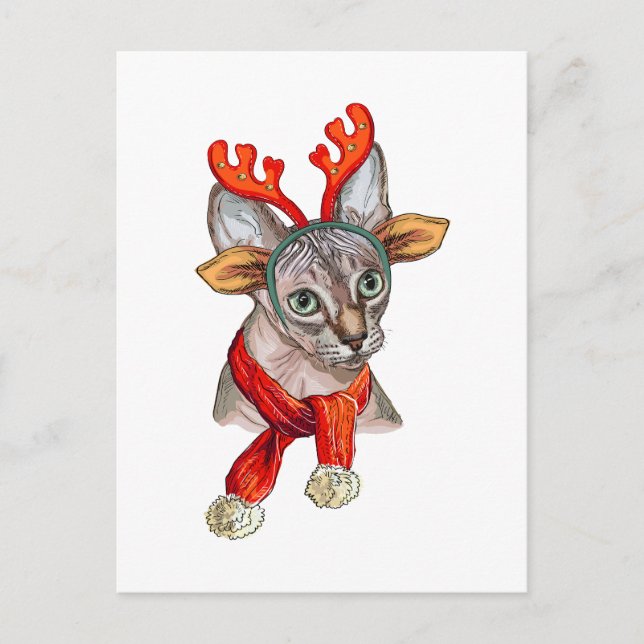 Carte Postale Sphynx chat T-shirt Grocery Poster (Devant)