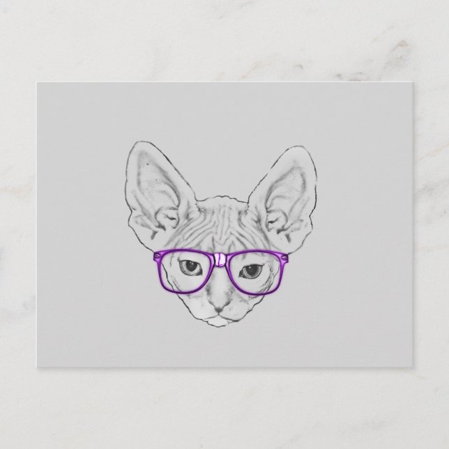 Carte Postale Sphynx ringard Geeky drôle avec les verres (Devant)