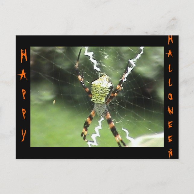 Carte postale Spider (Devant)