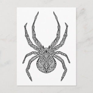 Carte Postale Spider Doodle