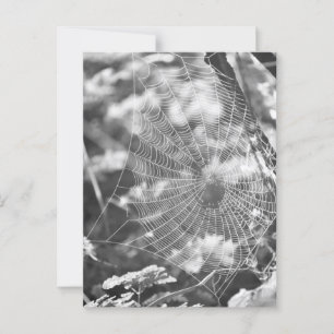 Carte Postale Spiderweb en herbe longue