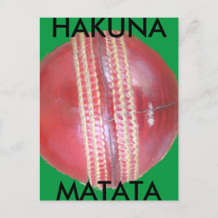 Carte Postale Spin Master's Sphere : Une balle de cricket à gauc