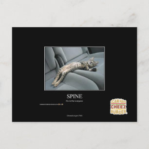 Carte Postale Spine