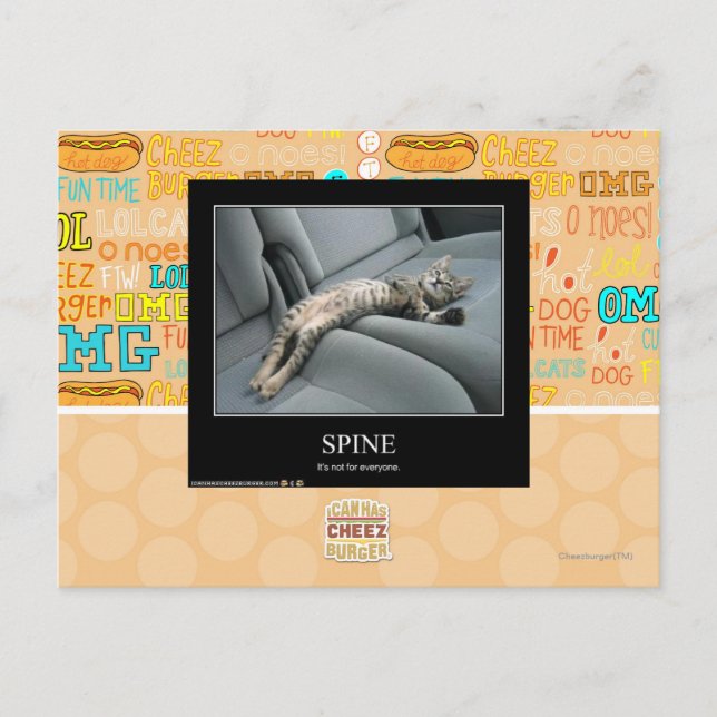 Carte Postale Spine (Devant)