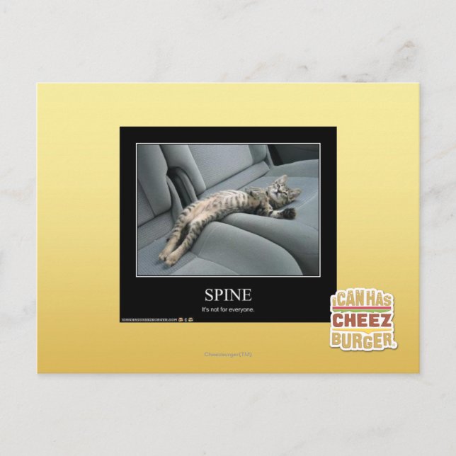 Carte Postale Spine (Devant)