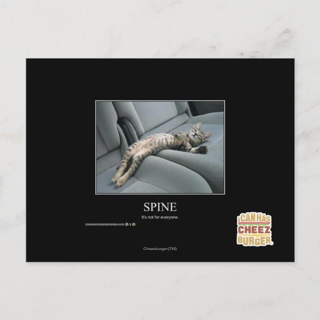 Carte Postale Spine (Devant)