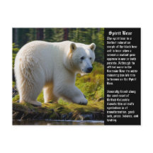 Carte postale Spirit Bear