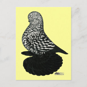 Carte Postale Splash Muffed Tumbler2
