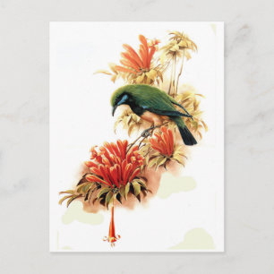Carte Postale Splendeur tropicale